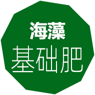 海藻肥,嘉特海藻肥,海藻叶面肥,海藻冲施肥